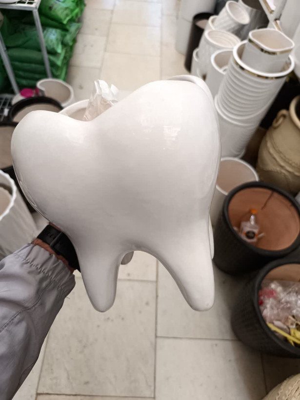 گلدان دندان سایز بزرگ