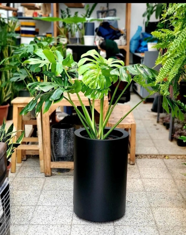 فلاور باکس استوانه ای ابعاد 60در35