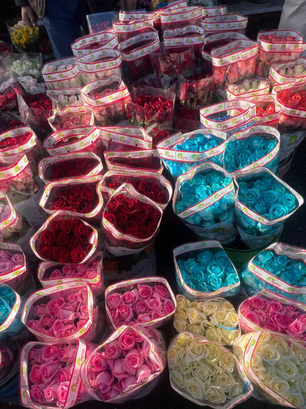 گل رز طبیعی ۲۰ عددی (دارای رنگ بندی)