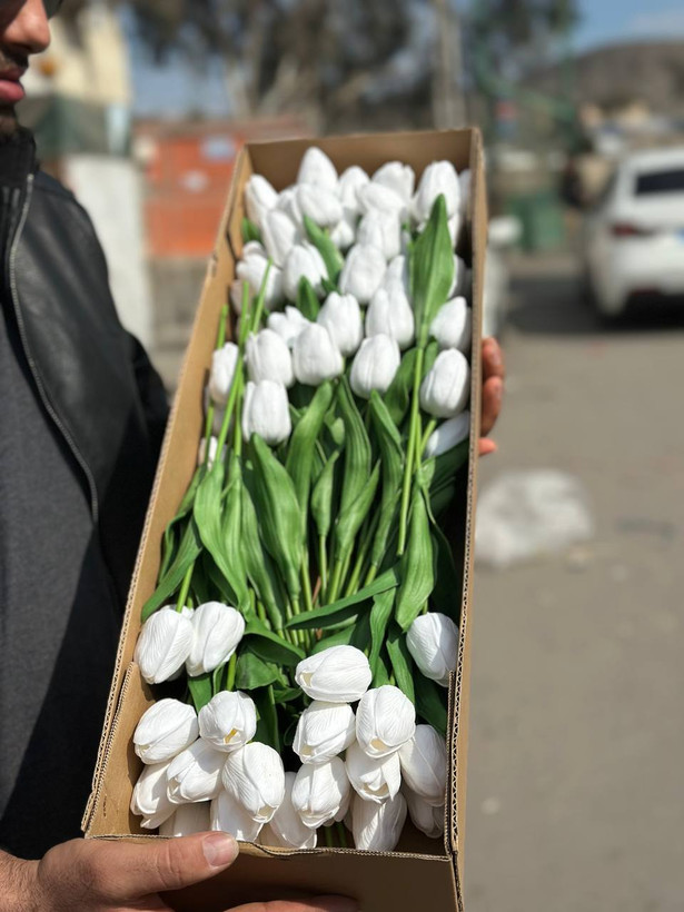 لاله لمسی وارداتی رنگ سفید ۱۰ عددی