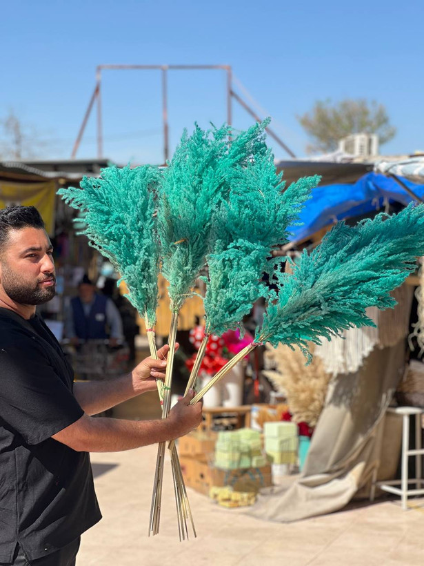 گل خشک پامپاس ۱۰ عددی رنگ فیروزه ای
