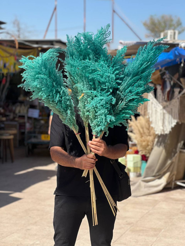 گل خشک پامپاس ۱۰ عددی رنگ فیروزه ای