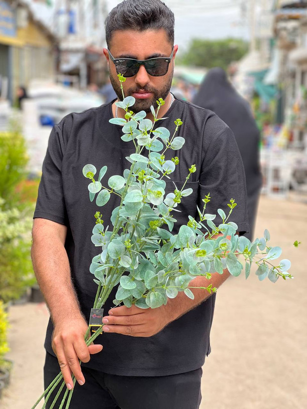 برگ اکالیپتوس مصنوعی لمسی