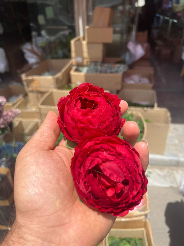 سرگل پیونی (پائونی) بزرگ رنگ قرمز 10عددی