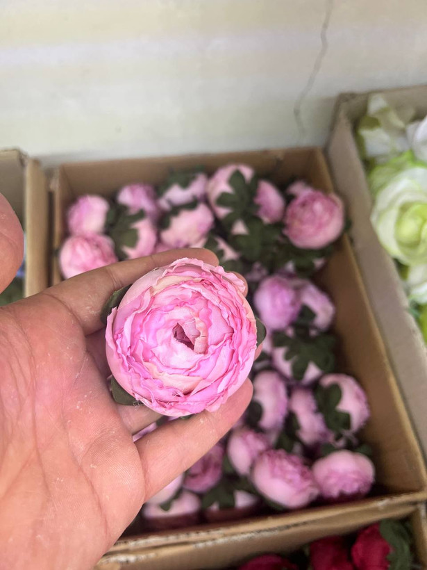 سرگل پیونی (پائونی) بزرگ رنگ صورتی کمرنگ رو به بنفش 10عددی