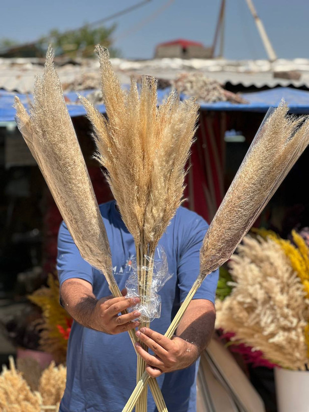 گل خشک پامپاس گراس بسته 10عددی