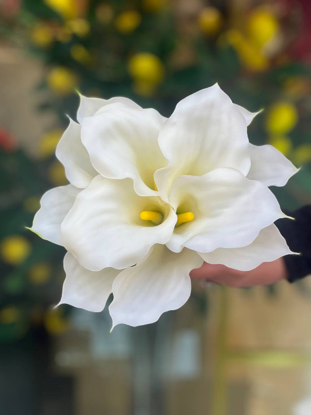 شیپوری مصنوعی ژله ای (کاله لی لی) وارداتی رنگ ثابت فوق طبیعی (هایپر رئال) ۱عددی 30سانتی