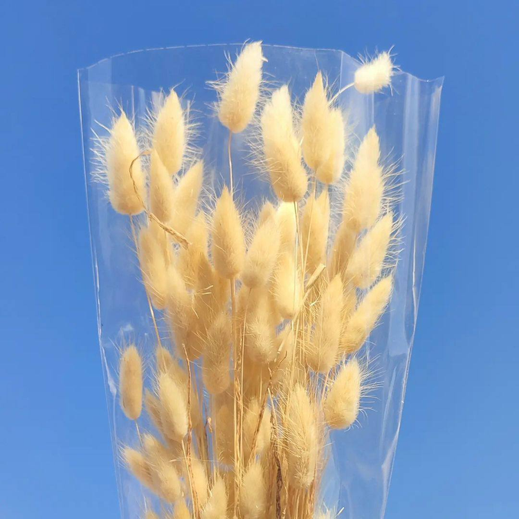 گل خشک دم خرگوشی وارداتی رنگ کرم سایز بزرگ (رنگ طبیعی)