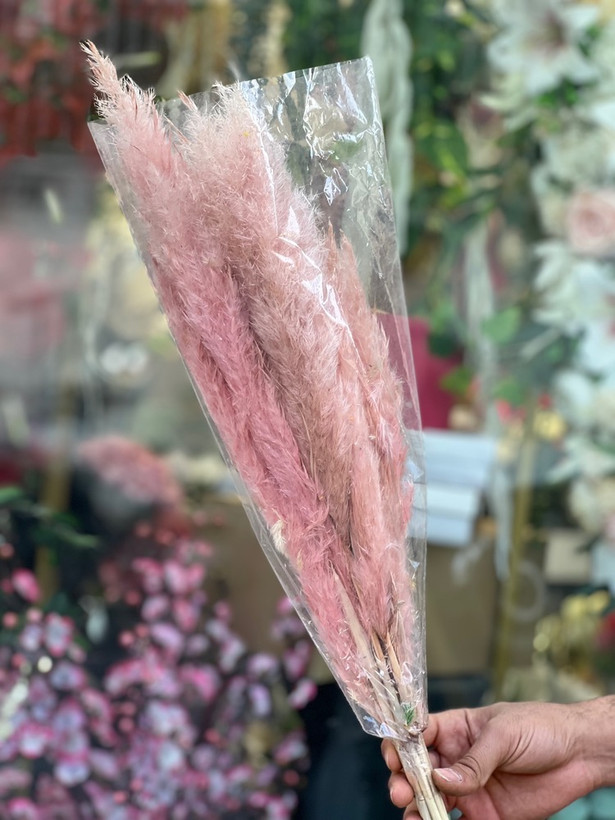 گل خشک پامپاس گراس بسته 10عددی رنگ صورتی
