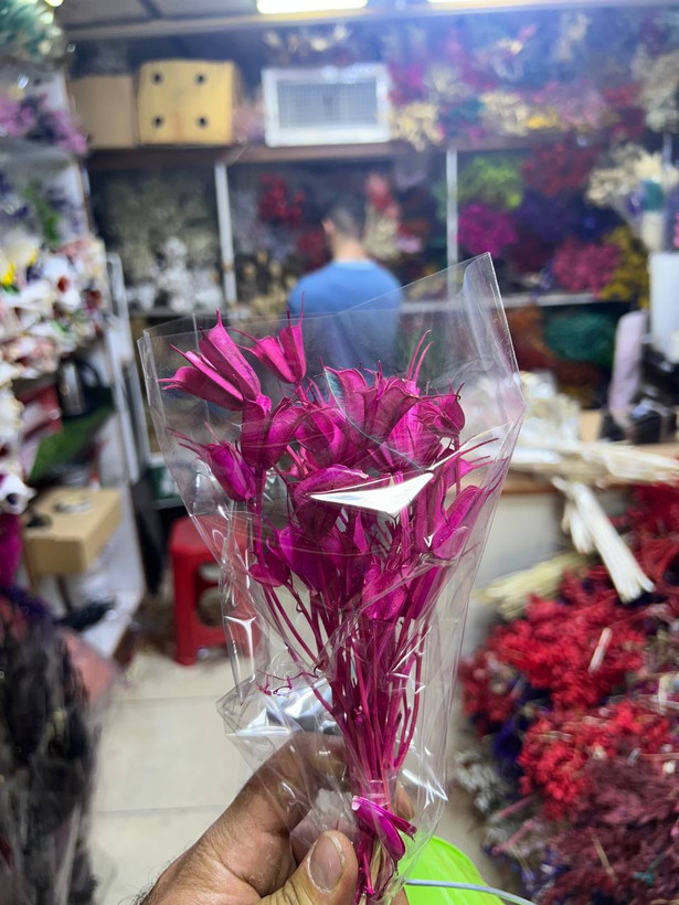 گل خشک لاله سوزنی رنگ صورتی پررنگ