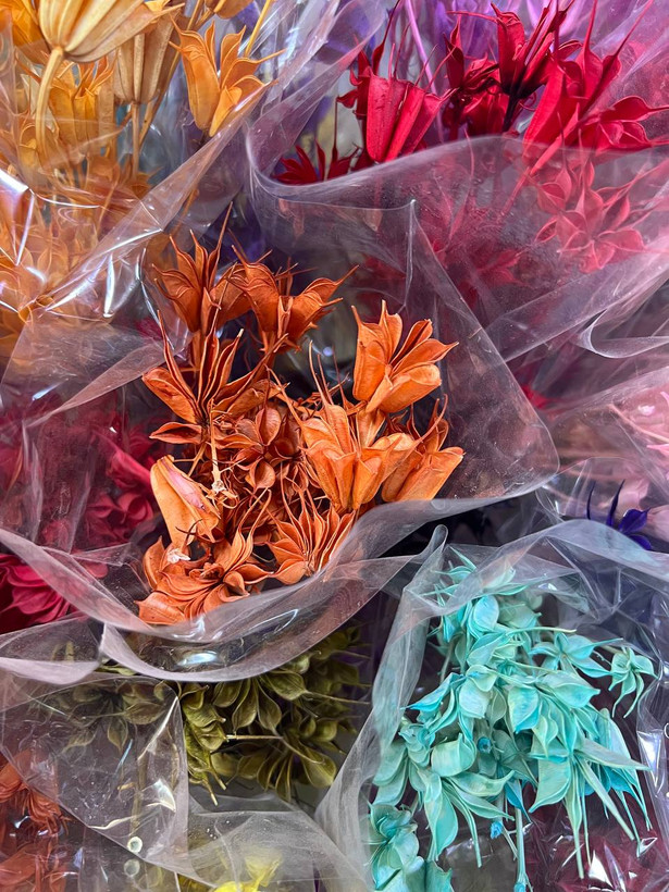 گل خشک لاله سوزنی رنگ کرمی (رنگ طبیعی)