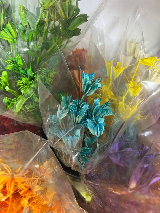 گل خشک لاله سوزنی رنگ کرمی (رنگ طبیعی)