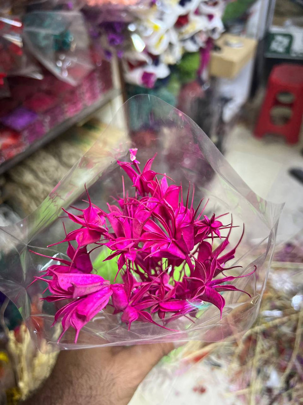 گل خشک لاله سوزنی رنگ کرمی (رنگ طبیعی)