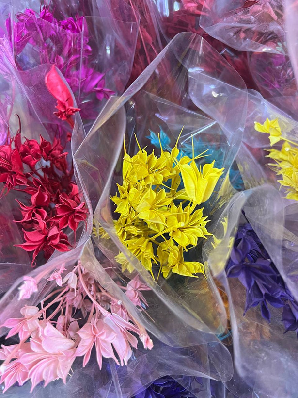 گل خشک لاله سوزنی رنگ کرمی (رنگ طبیعی)