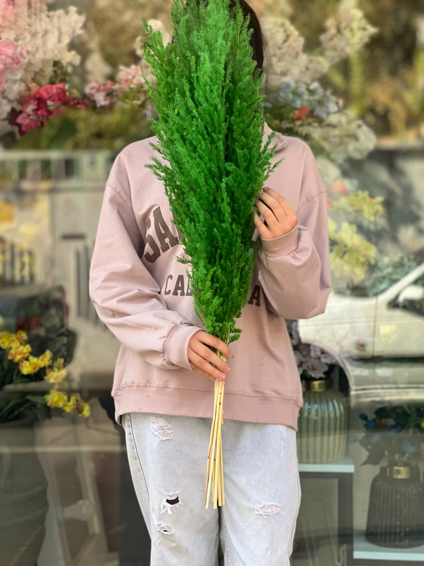 گل خشک پامپاس سبز(دسته ۱٠عددی)