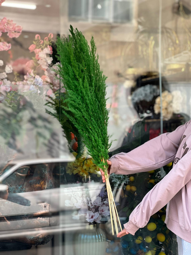 گل خشک پامپاس سبز(دسته ۱٠عددی)