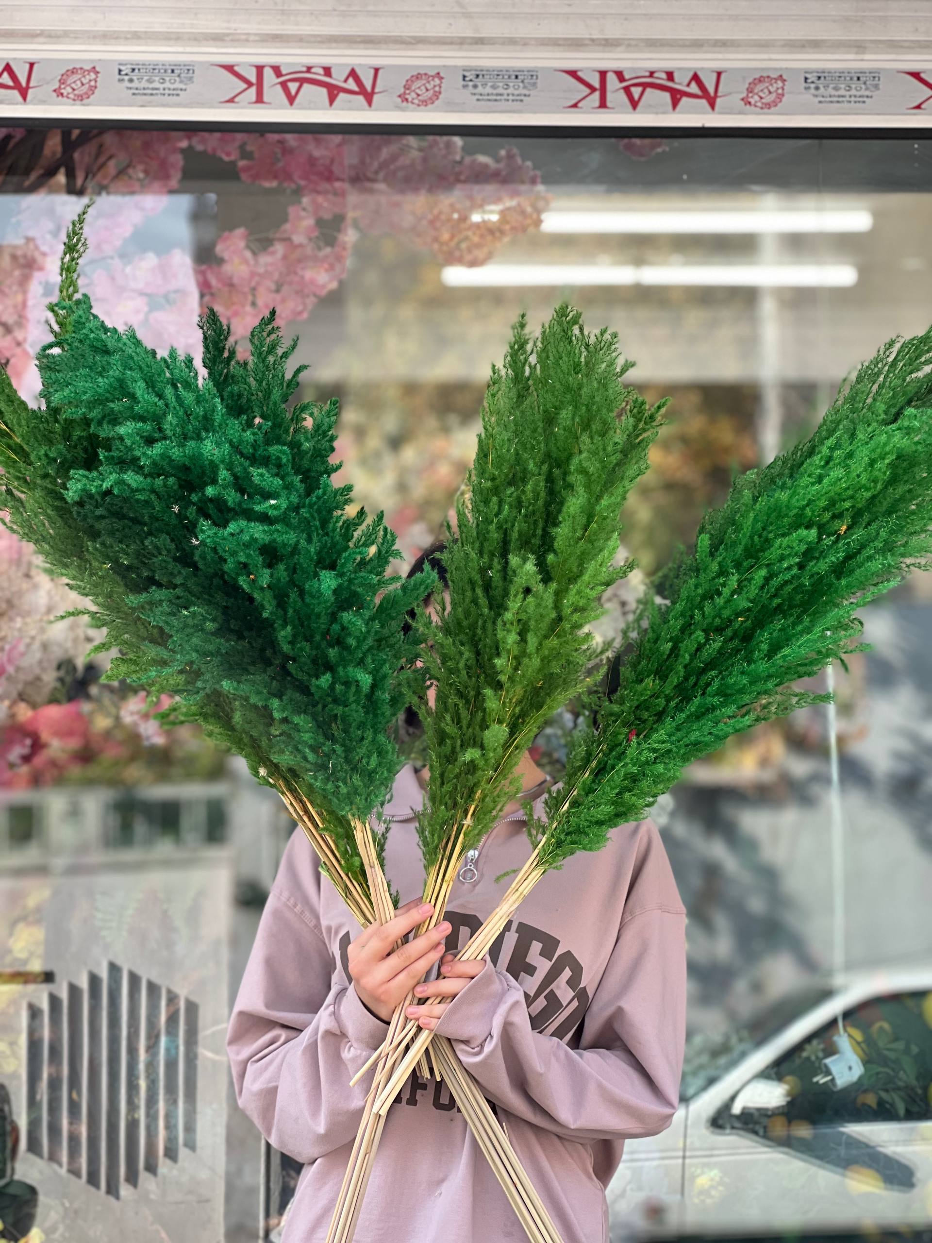 گل خشک پامپاس سبز(دسته ۱٠عددی)