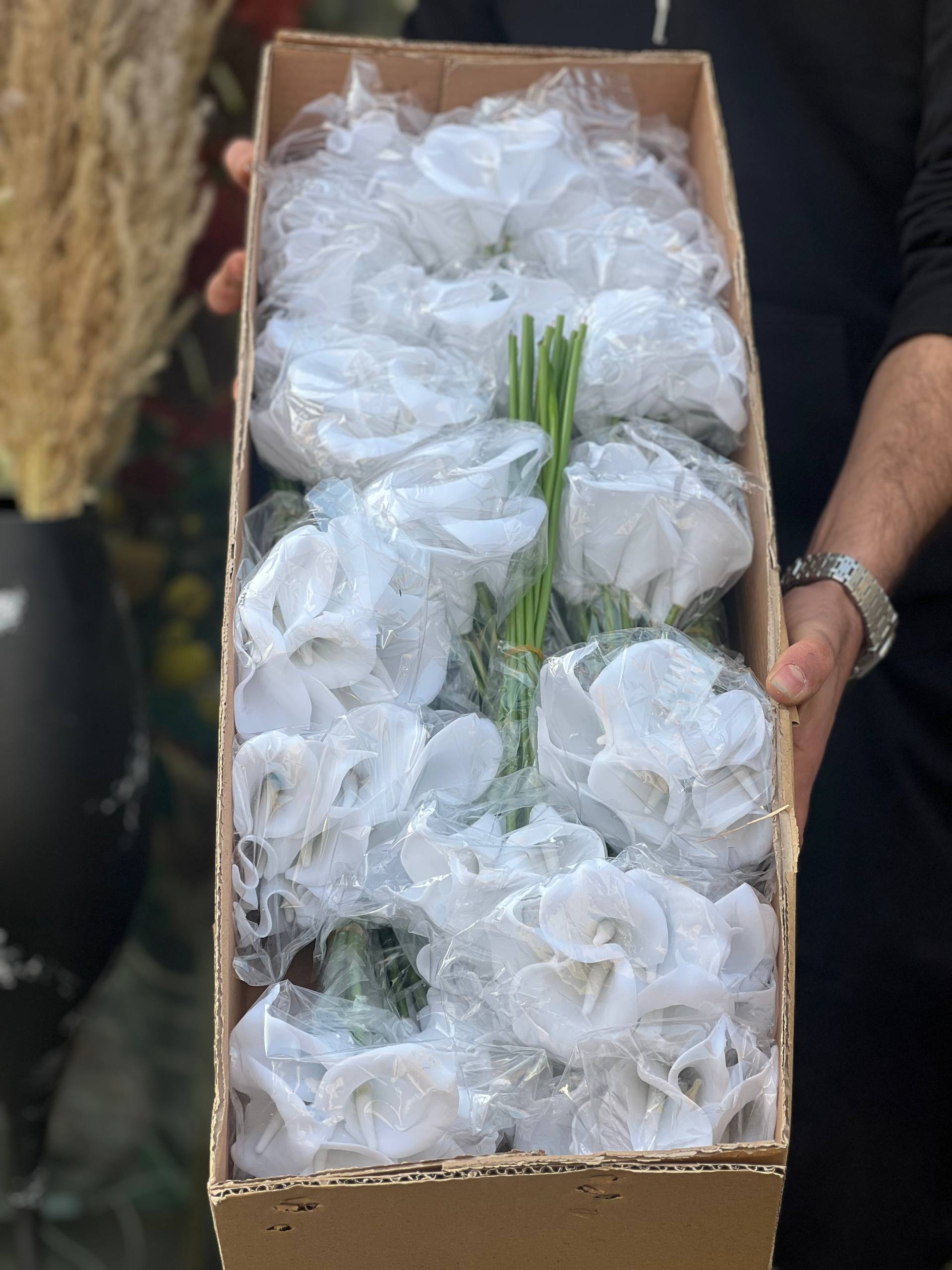 شیپوری ایرانی کارتنی(عمده) ۲۰بسته ۲۴۰عددی