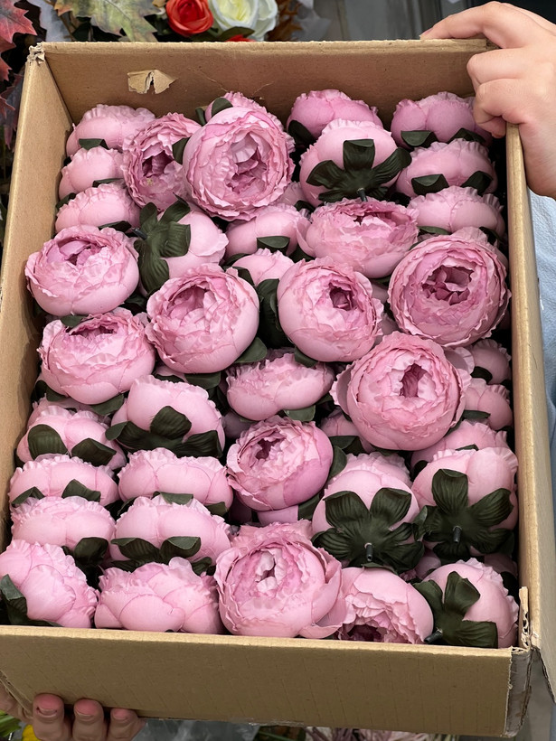 سرگل پیونی (پائونی) بزرگ رنگ صورتی کمرنگ رو به بنفش 10عددی
